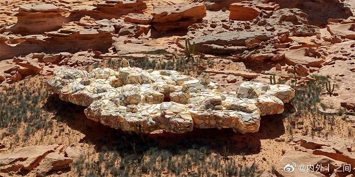 'Bioharcker's Residence'